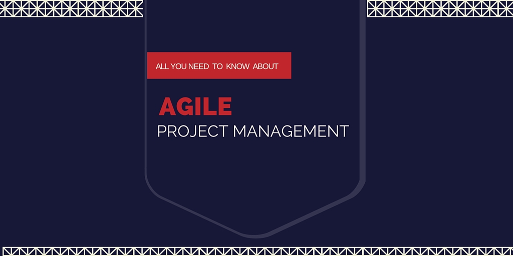Agile Software Development Methodology (definition & principle of agile)